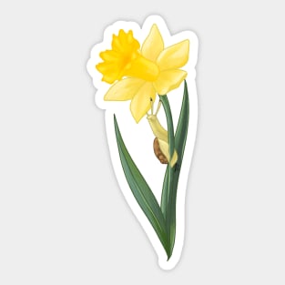 Birth flower and snail: March Sticker